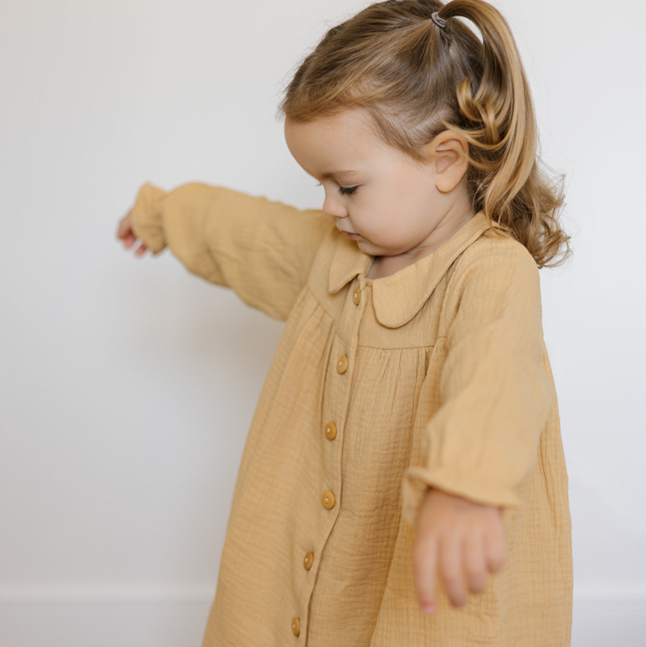 Honey Sofia Dress