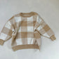 Checked Jumper 2-3y Preloved