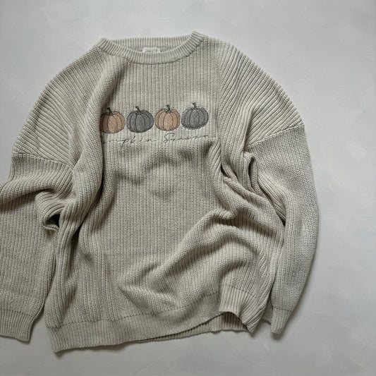 Adult pumpkin spice jumper Large seconds