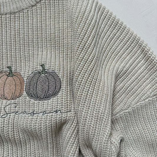 Adult pumpkin spice jumper Large seconds