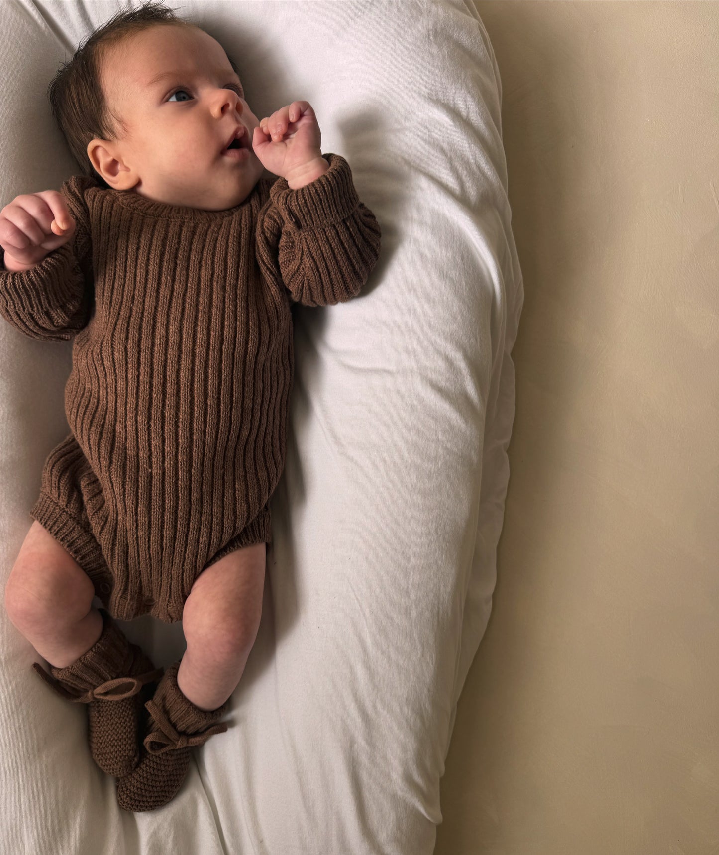 Cocoa Teddy Bodysuit