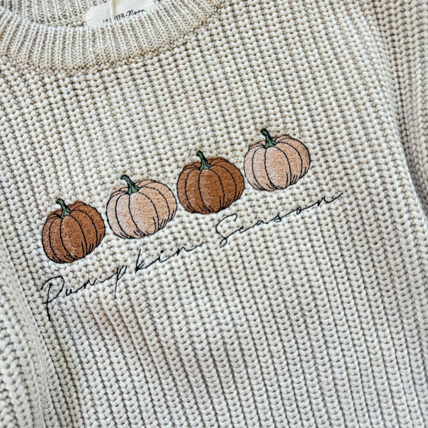 Pumpkin Season Jumper